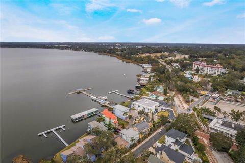 A home in MOUNT DORA