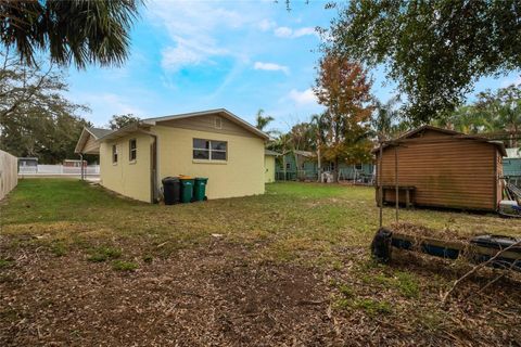 A home in MOUNT DORA