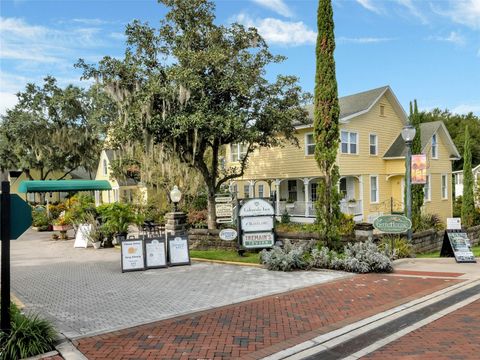 A home in MOUNT DORA