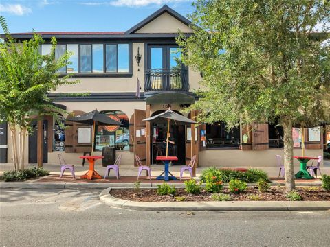 A home in MOUNT DORA