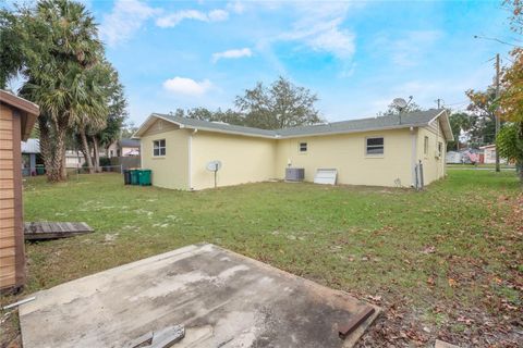 A home in MOUNT DORA