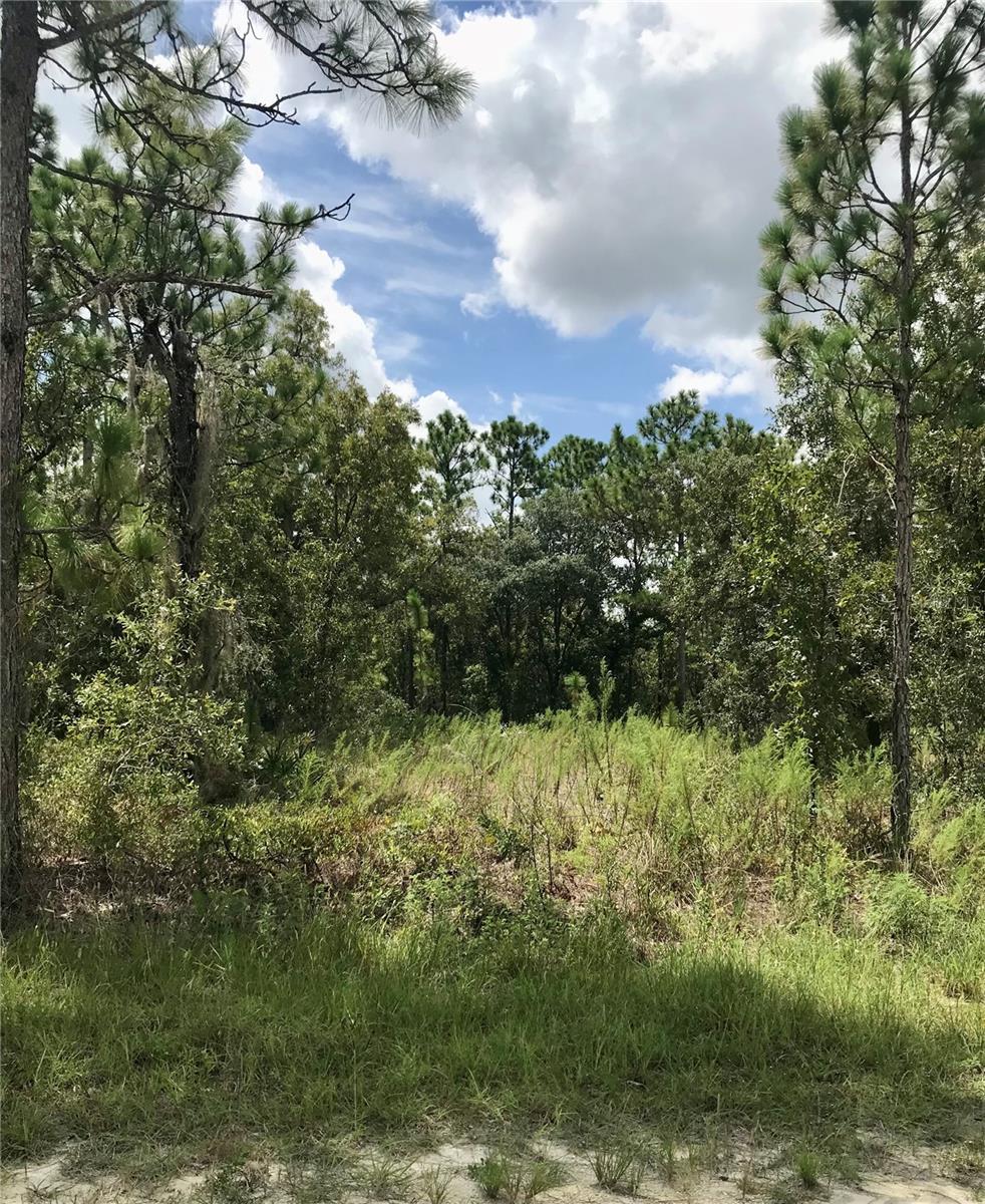 LOT 4 FLORIDA WREN AVENUE