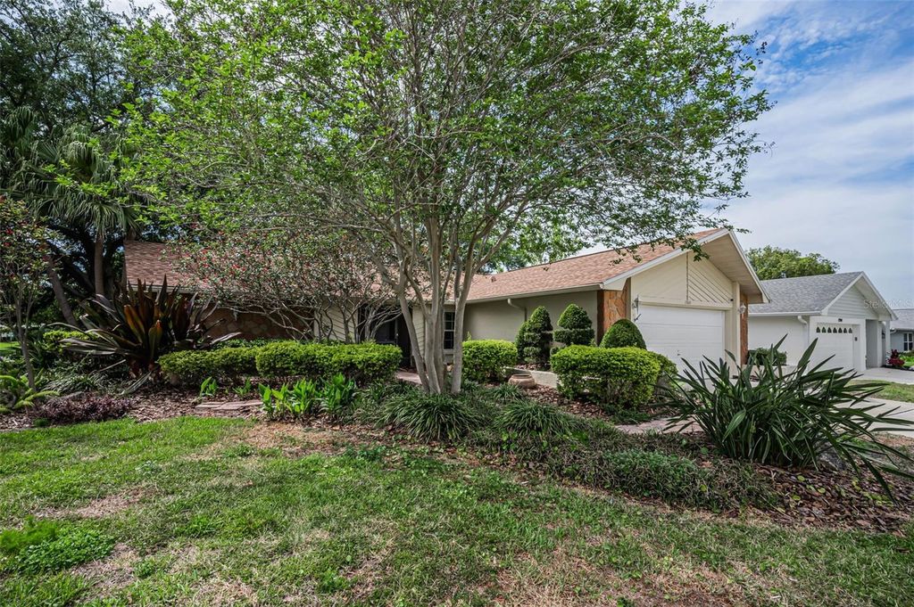 Photo of 1700 Macdonnell Drive, Palm Harbor, FL 34684 (MLS # TB8468857)