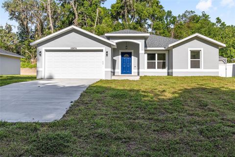 12974 SE 42ND COURT BELLEVIEW FL 34420
