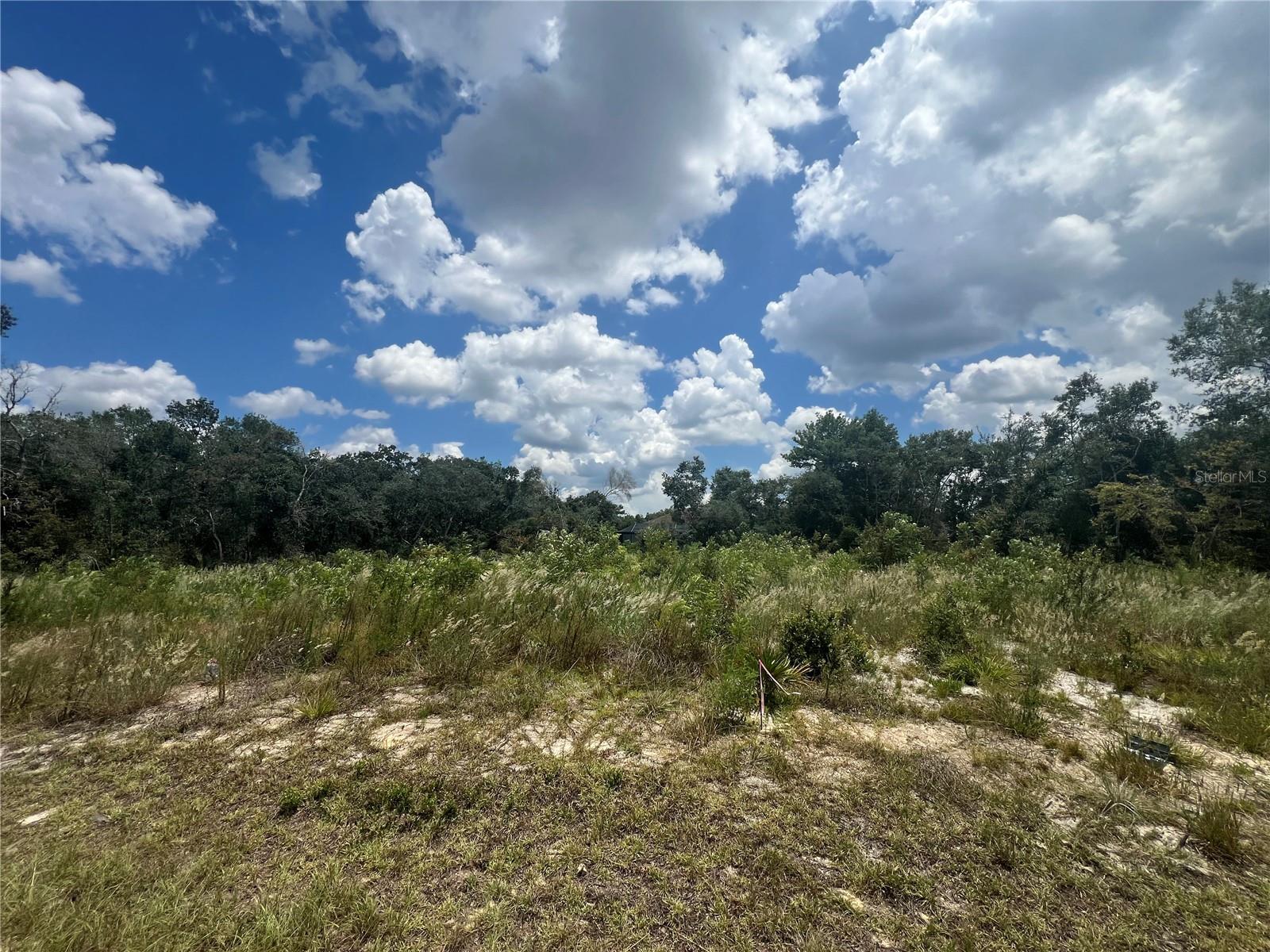 Seize this incredible opportunity to own a nearly 1/3 acre, previously cleared, residential lot in one of Marion County’s fastest-growing areas! Located in a peaceful, nature-filled neighborhood with no HOA, this property is perfect for your future dream home or investment.
New construction is happening all around the vicinity, and a brand-new Marion Oaks high school is scheduled to open just minutes away at 1350 SW 165th St in August 2026 – a major boost for local growth and value.
Enjoy the best of both worlds: tranquil surroundings and easy access to I-75 for commuting. It is also located not far from shopping, dining, and medical services. Whether you're looking to build now or hold for the future, this land is in the path of progress.
Lots of this size are disappearing fast – don’t miss your chance to grab this gem before prices rise further. Note: Google Maps does not have correct directions (a change has been requested). iPhone Maps app works correctly. Or use these directions: From Hwy 484 (west of I-75), go South on Marion Oaks Course, turn L on Marion Oaks Manor, turn R on 37th Terrace Rd, turn L on SW 37th Circle, then turn R on 37th Ave. Lot will be on the left side with For Sale sign on it. Only partially cleared lot on that side.