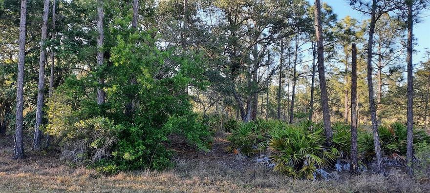 Come build your forever home on this one-half lot that located in the lake community of Indian Lake Estates, a golfing, fishing and
boating community in the center of Florida. Indian Lake Estates is about 20 miles east of Lake Wales. The community surrounds the 7,500 acre lake locally known as Lake Walk In Water, nationally known for its fishing and considered to be one of the best bass fishing lakes in all Florida. The lake has a beach, boat ramp, boat marina and the longest freshwater Fishing pier in the State of Florida. The pavilion is located at the front of the pier and is complete with propane grills and covered picnic tables. The community amenities include an 18-hole golf course, basketball and tennis courts, 23, 000 sq.ft. clubhouse, cafe, post office, churches, library, fitness room and pro shop. If you love nature and the peace and quiet of the country you're in luck. Wildlife is plentiful! You will see deer, raccoon, turkey, turtles, cranes and various species of birds that call Indian Lake Estates their home. Orlando and Disney is only about an hour's drive north and Tampa, Busch Gardens, and the Gulf's pristine beaches only a little over an hour west. Historic Bok Tower, a National Landmark, is in nearby Lake Wales. The Westgate River Ranch Resort and Rodeo is just six miles away. An authentic Florida dude ranch and full-service resort offering guests the opportunity to experience "Old Florida." Encompassing 1,700 beautiful acres, Westgate River Ranch features horseback riding, wildlife airboat and swamp buggy rides, Saturday night championship rodeo, trap/skeet range, nature hikes, petting farm, marina, Adventure Park with zip line and rock climbing wall, Westgate Smokehouse Grill and River Ranch Saloon and much more. Cowboy-themed accommodations range from ranch-themed lodge guestrooms and deluxe lodge suites to spacious cottages, two-bedroom cabins, Glamping and Luxe Teepees. Come out and see how great life can be at Indian Lake Estates! Polk County's best kept secret!