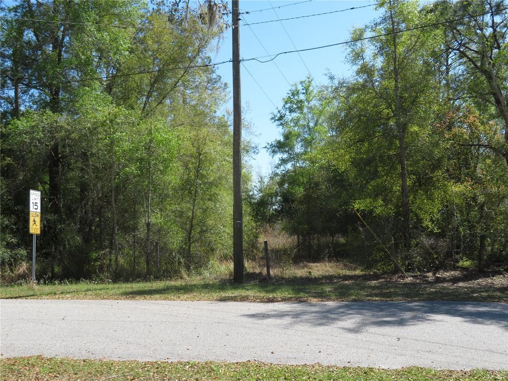 Photo of San Antonio, FL 33576 (MLS # TB8489586)