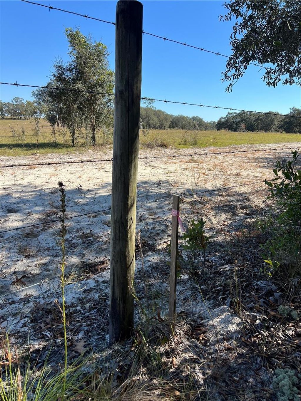 Photo of SW 121 Terrace Road, Dunnellon, FL 34432 (MLS # O6361048)