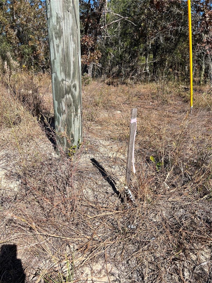 ROLLING HILLS - Land