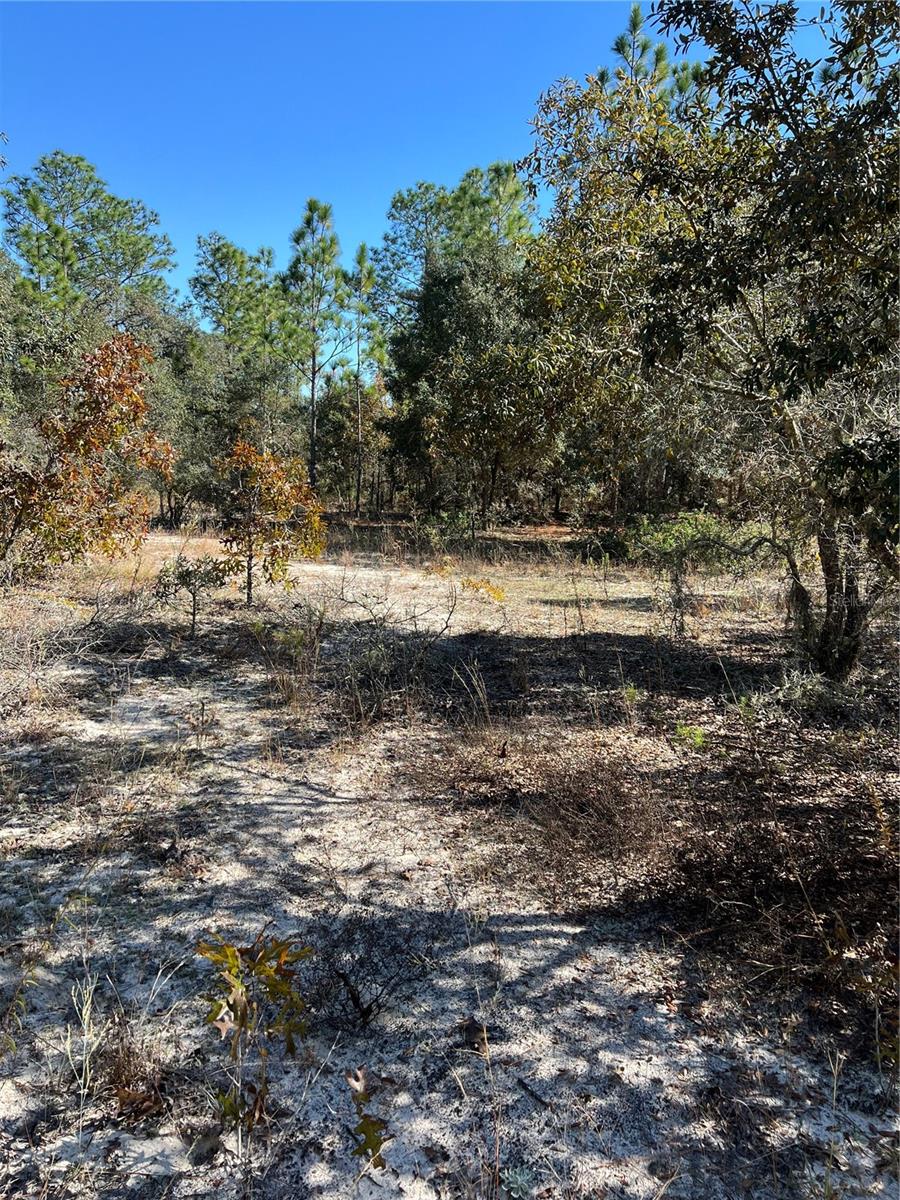 ROLLING HILLS - Land