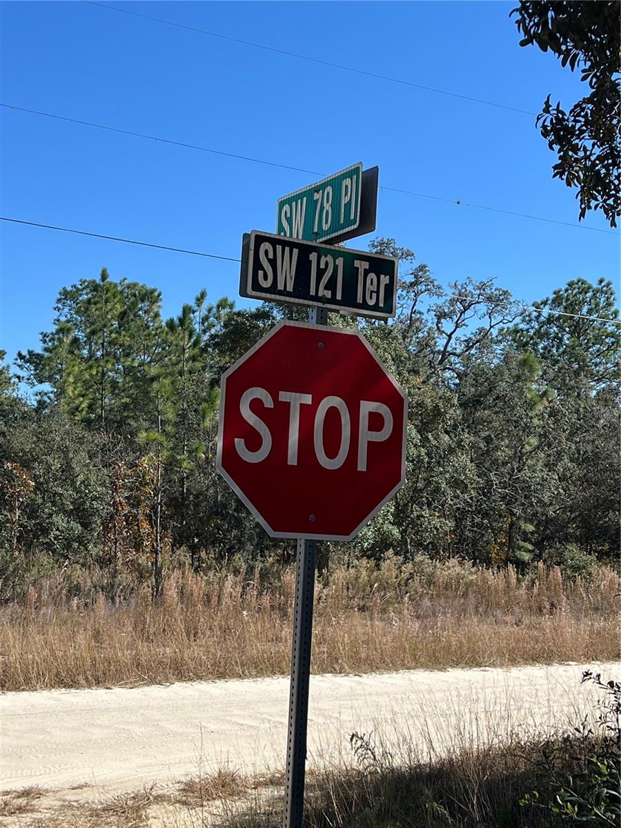 ROLLING HILLS - Land