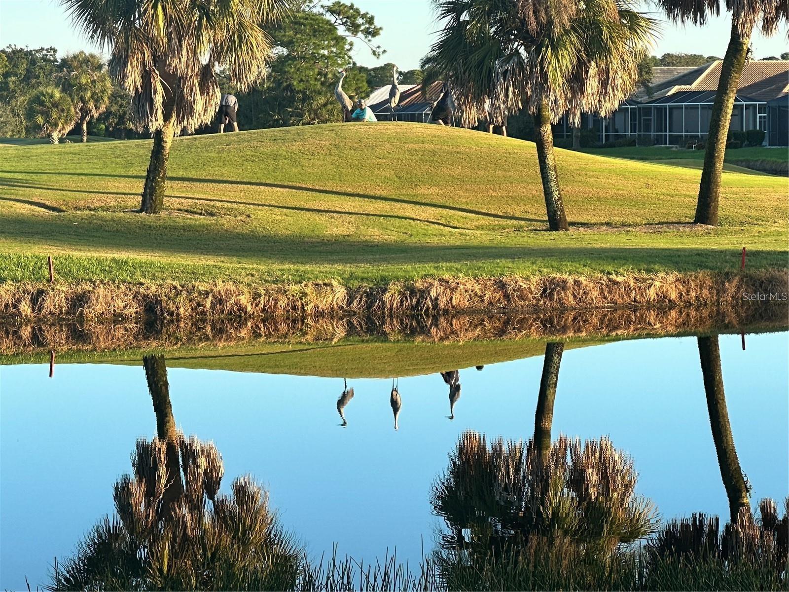 PELICAN POINTE GOLF & COUNTRY CLUB - Residential