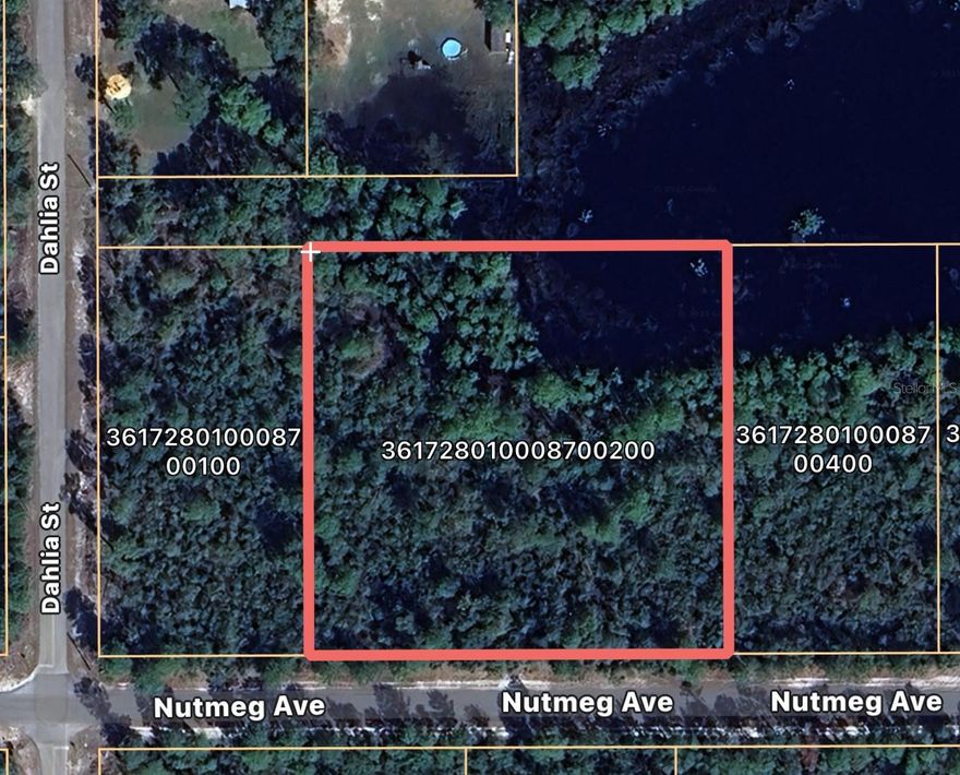 Beautiful 2 acre parcel located on the the NE side of Nutmeg and Dahlia (Second Parcel on the left). Parcel # 36-17-28-0100-0870-0200

Additional adjoining 1 acre parcel available on corner of Dahlia and Nutmeg. Parcel # 36-17-28-0100-0870-0100.