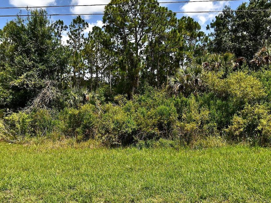 Prime buildable lot in the growing city of North Port, FL, located on Tropicaire Blvd. This 0.23-acre residential parcel is in Flood Zone X, meaning no flood insurance is required, and it is not located within a Scrub Jay habitat area, which can simplify the building process.
Surrounded by new construction and ongoing development, this property offers a great opportunity to build your dream home or invest in one of Southwest Florida’s fastest-growing communities. Enjoy a quiet residential setting with no HOA and no deed restrictions.
Conveniently located near shopping, dining, schools, parks, and everyday amenities, with easy access to I-75 for commuting to Sarasota, Venice, and surrounding areas.