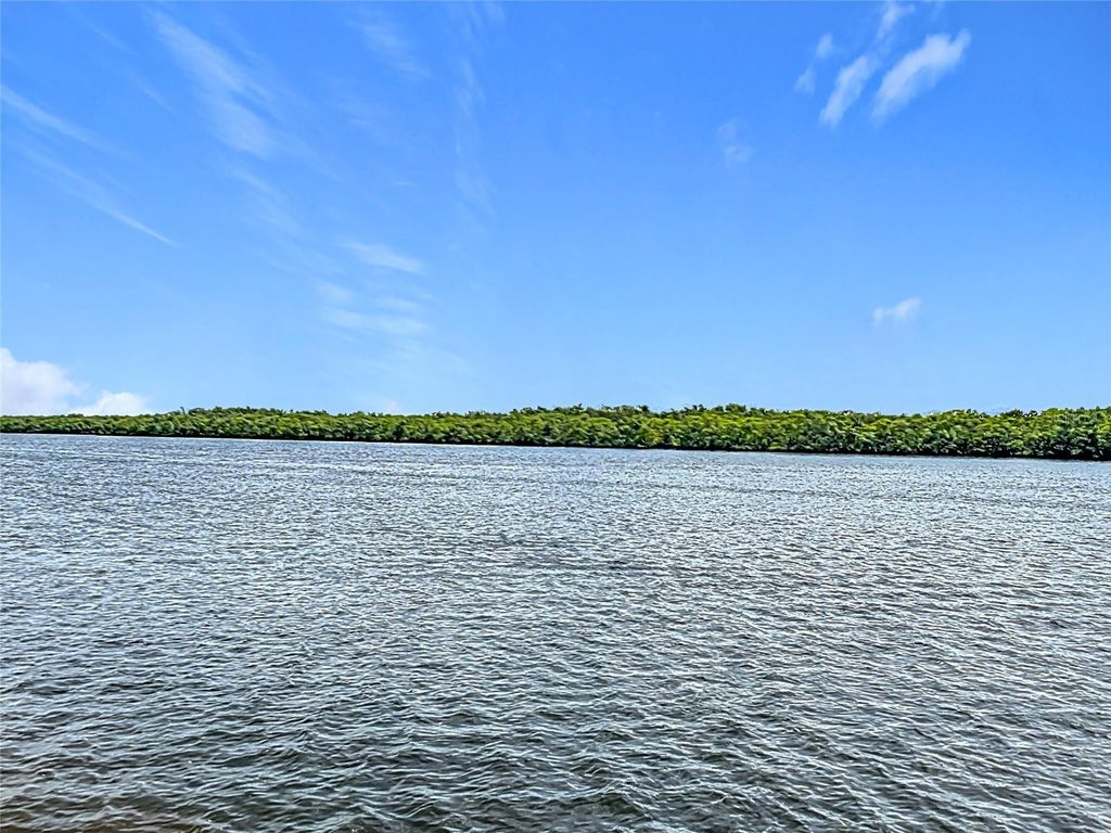 Photo of 809 Bahia Del Sol Drive #72, Ruskin, FL 33570 (MLS # TB8396504)