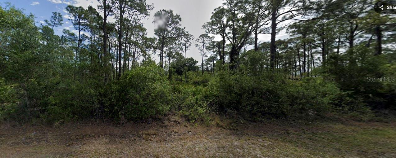 Great opportunity to own vacant land in Punta Gorda, Florida. Build your dream home or invest for the future in this growing area. Conveniently located near shopping, dining, and local amenities