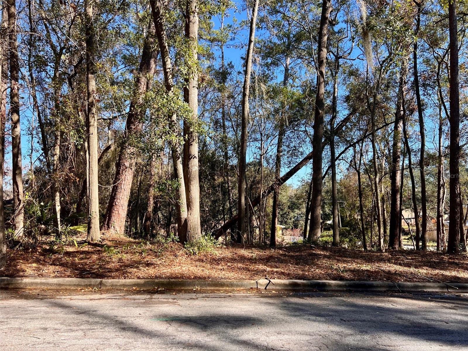 KINGSWOOD 1ST ADD - Land