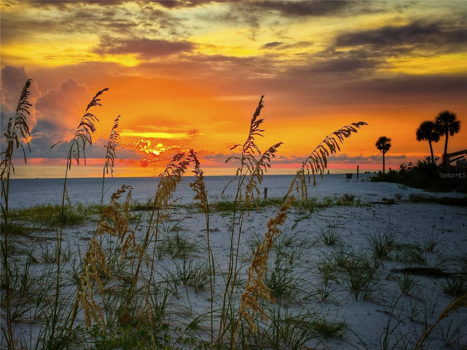 SEA BREEZE OF MADEIRA CONDO - Residential