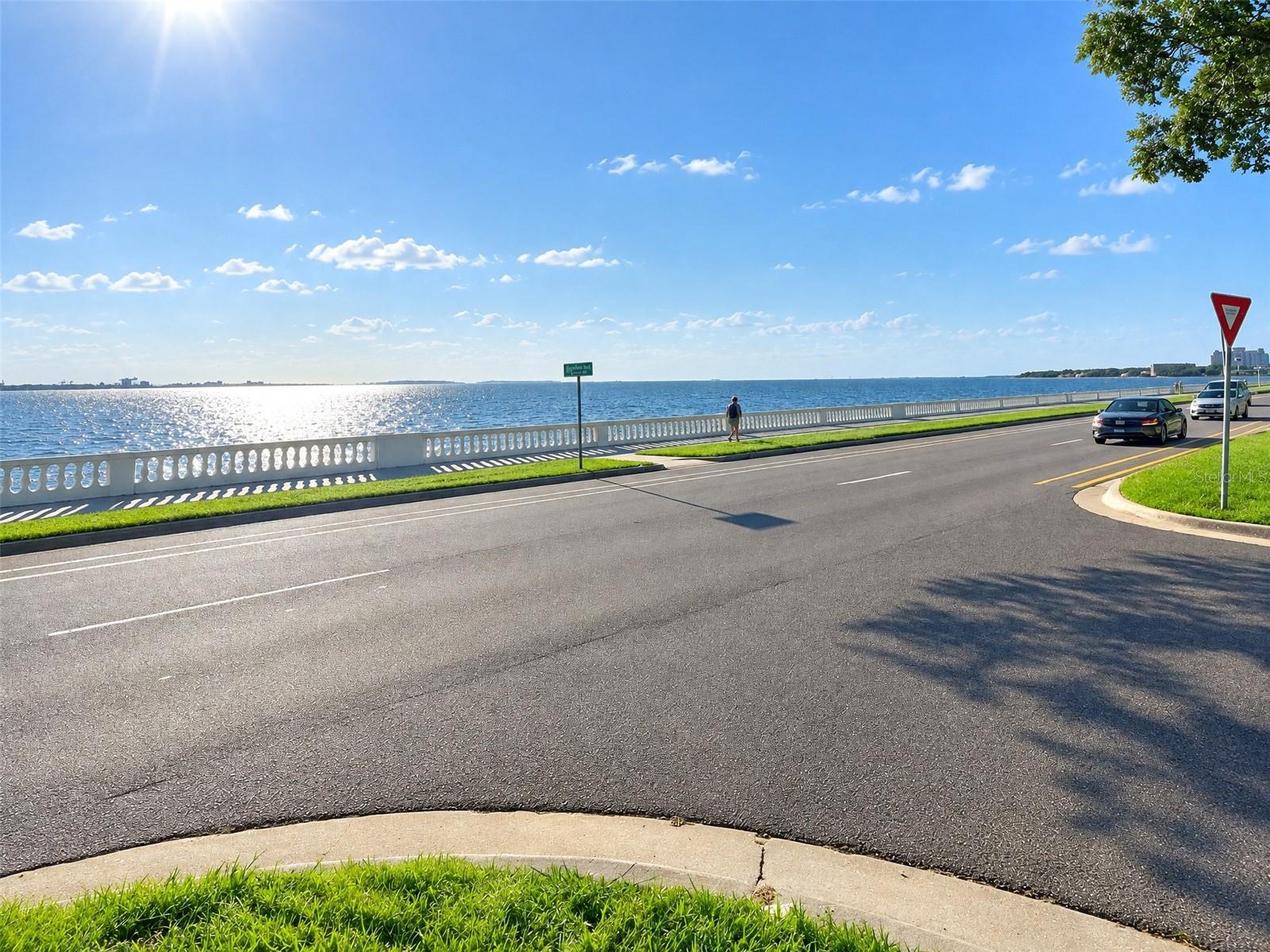 4015 BAYSHORE BOULEVARD 11A