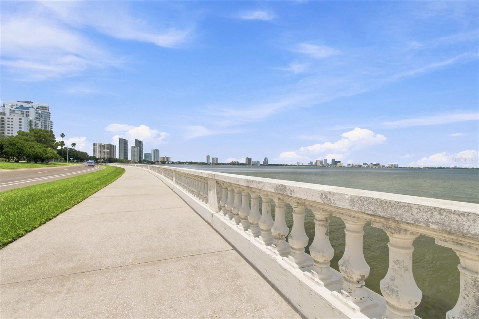 4015 BAYSHORE BOULEVARD 11A