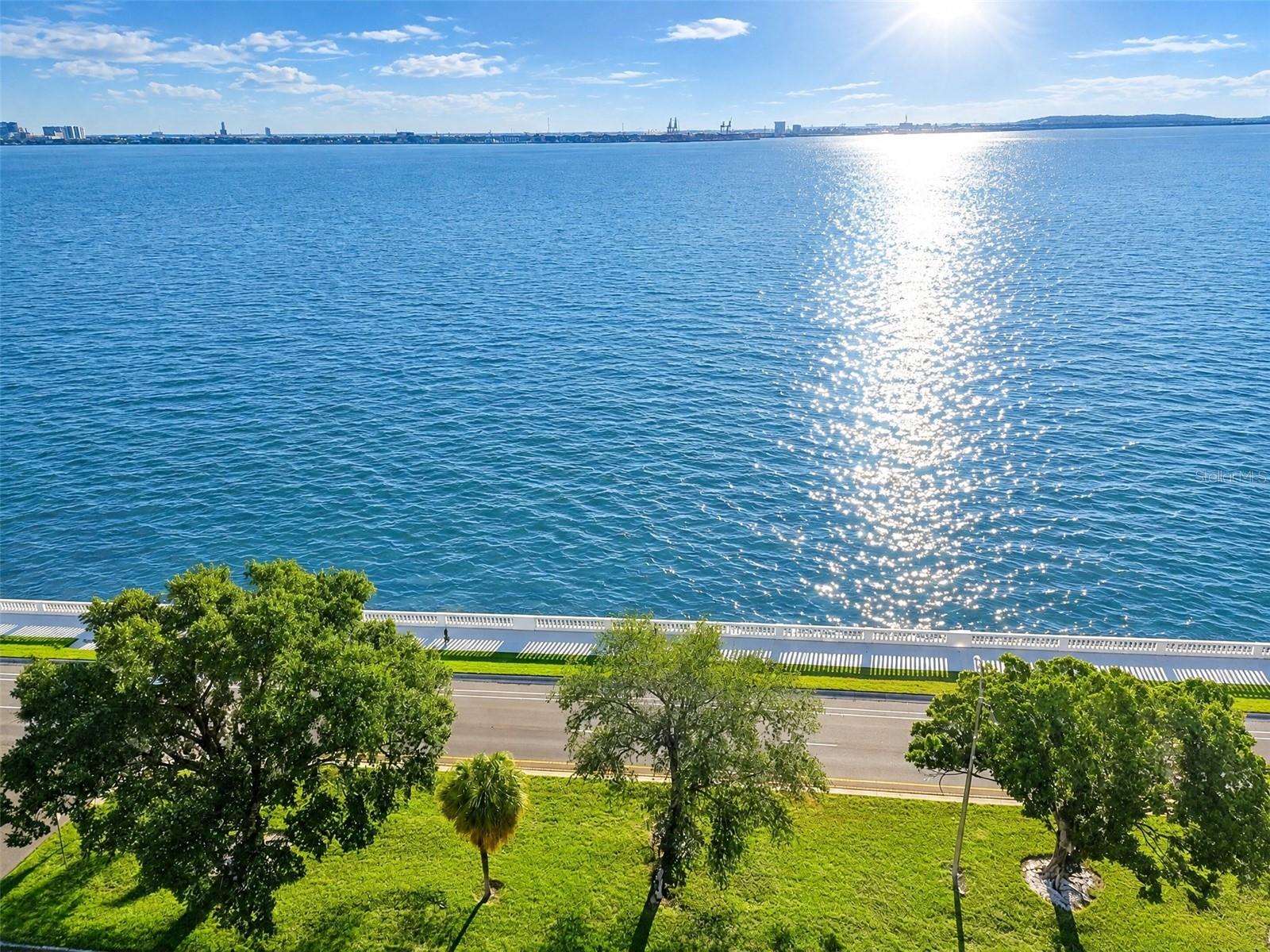 4015 BAYSHORE BOULEVARD 11A