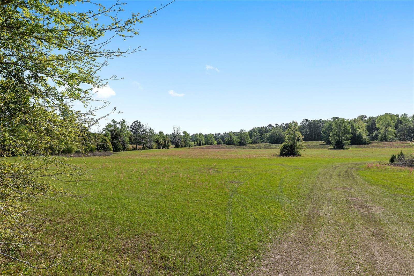 POWERS PLANTATION - Land