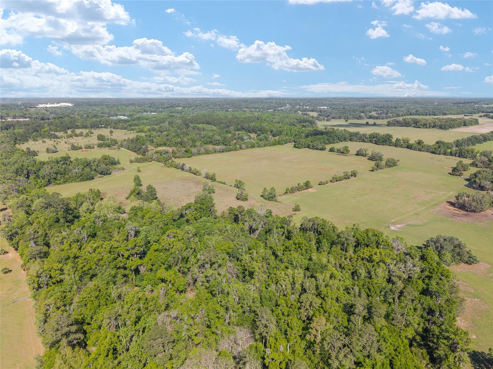 POWERS PLANTATION - Land