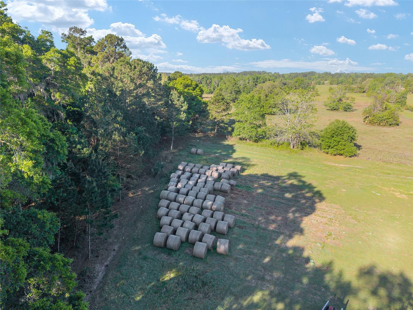 POWERS PLANTATION - Land