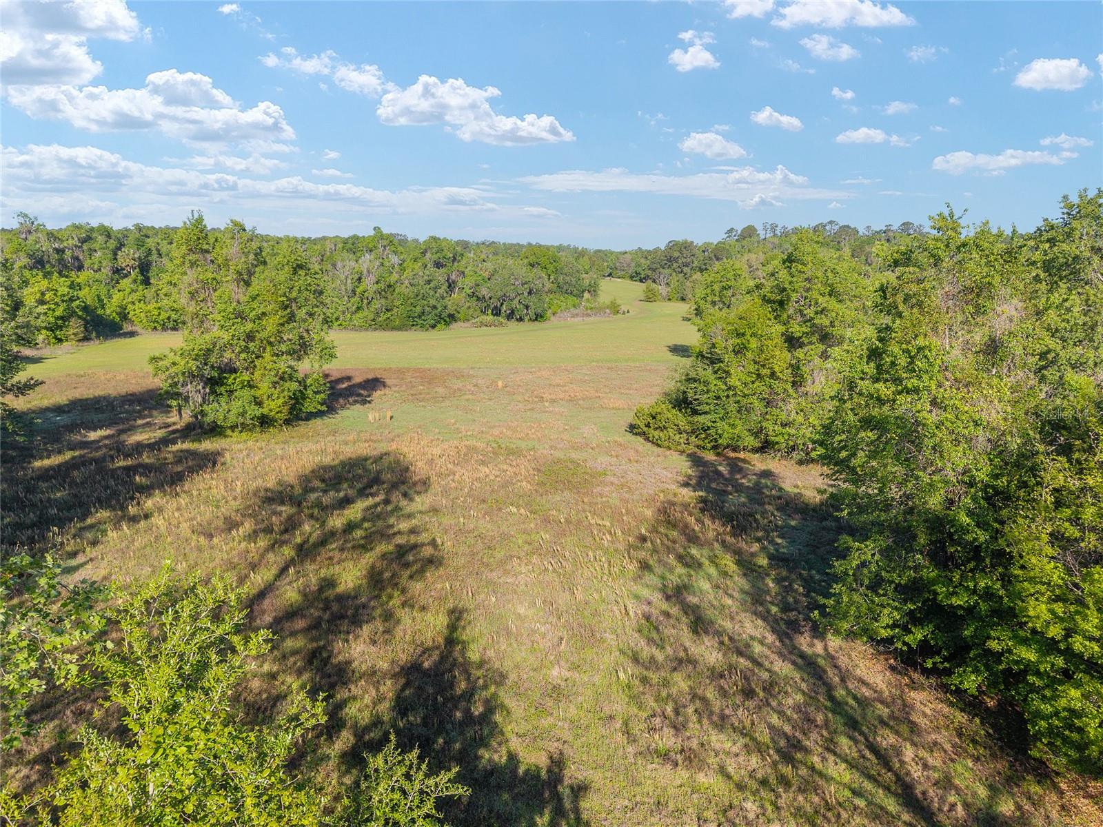 POWERS PLANTATION - Land