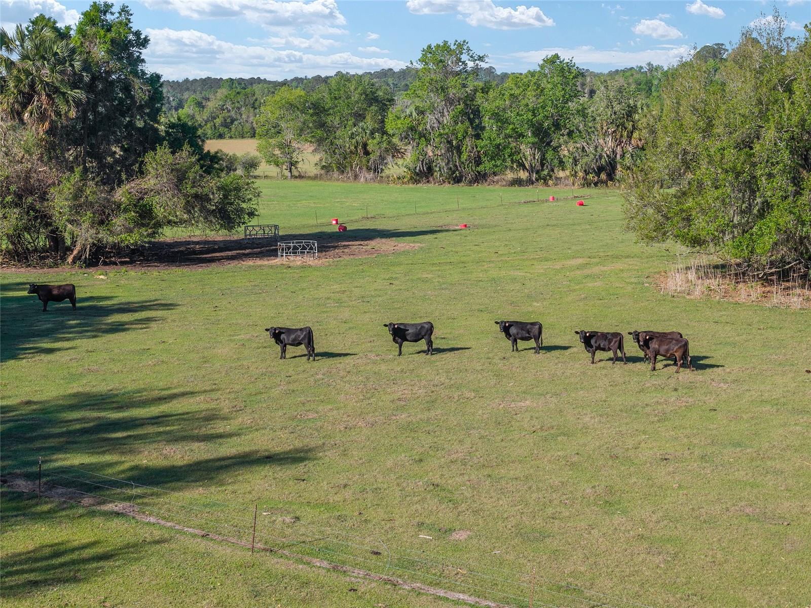 POWERS PLANTATION - Land