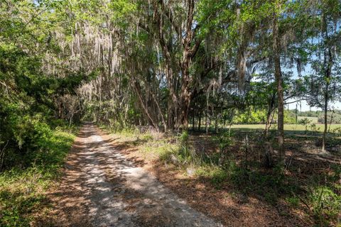 Tiny photo for 6405 NW 165th Street, Reddick, FL 32686 (MLS # OM722173)
