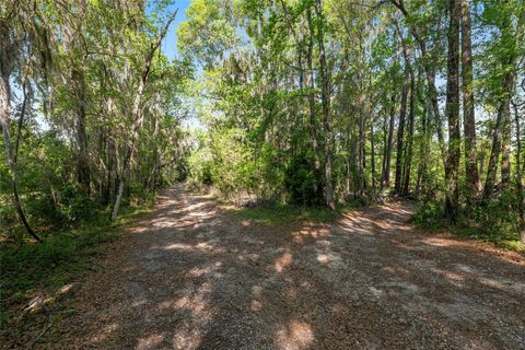 Tiny photo for 6405 NW 165th Street, Reddick, FL 32686 (MLS # OM722173)