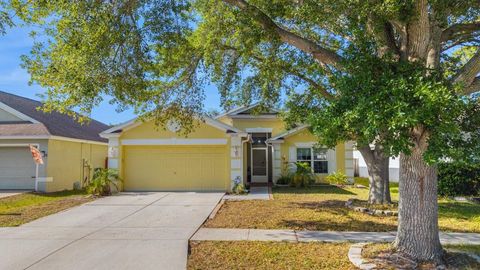 Photo of 10510 Egret Haven Lane, Riverview, FL 33578 (MLS # TB8504051)