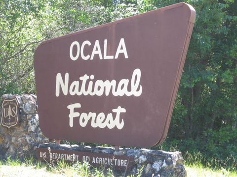 Tiny photo for 5790 SE 183rd Terrace, Ocklawaha, FL 32179 (MLS # OM721882)