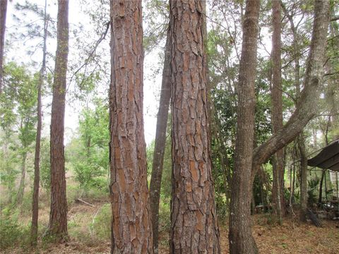 Tiny photo for 5790 SE 183rd Terrace, Ocklawaha, FL 32179 (MLS # OM721882)