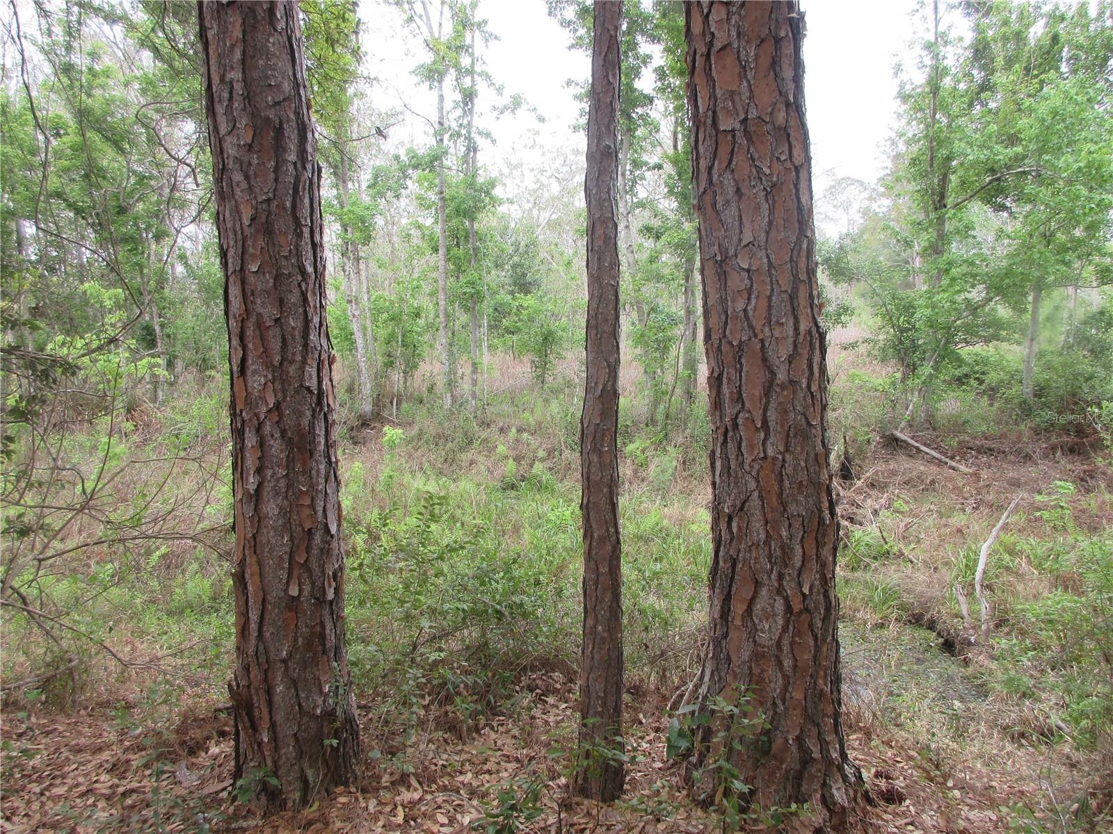 WINDING WATERS ADD 01 - Residential