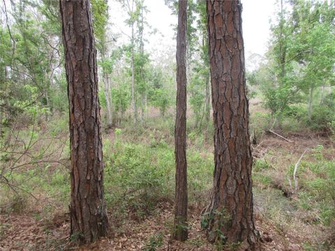 Tiny photo for 5790 SE 183rd Terrace, Ocklawaha, FL 32179 (MLS # OM721882)