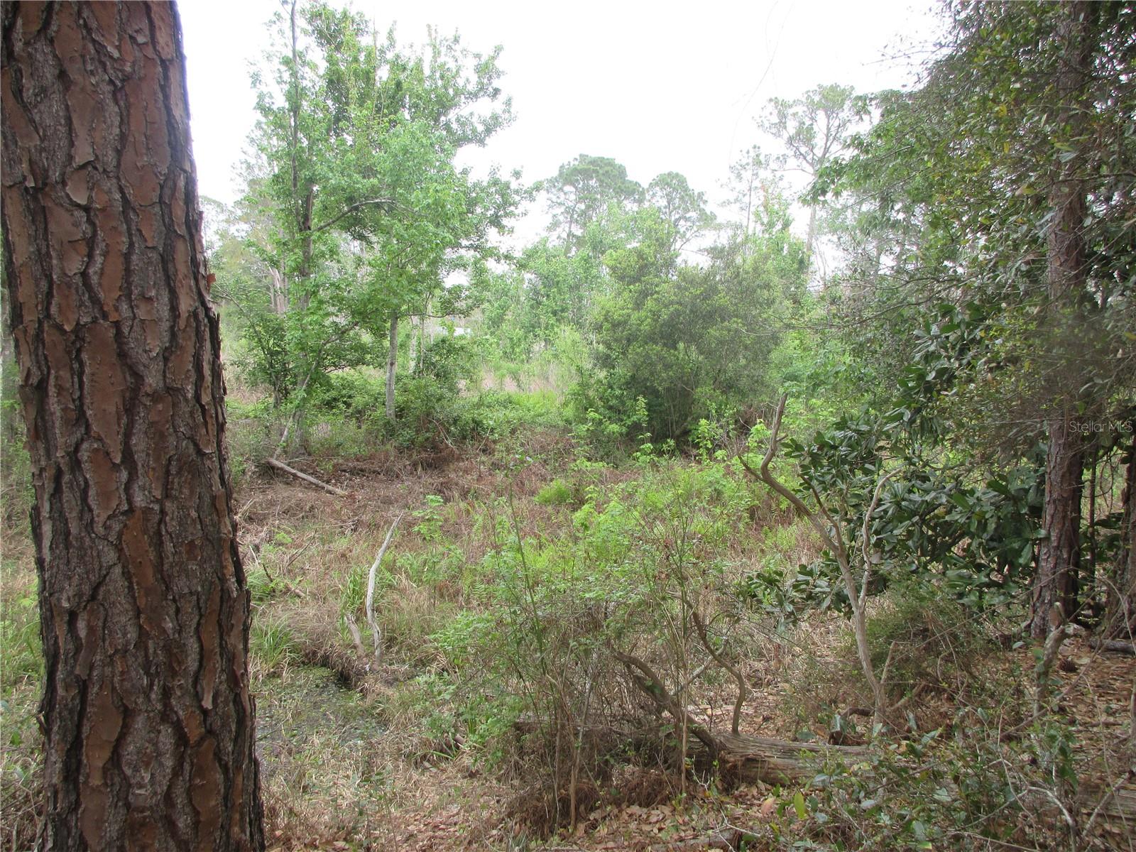 WINDING WATERS ADD 01 - Residential