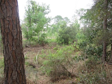 Tiny photo for 5790 SE 183rd Terrace, Ocklawaha, FL 32179 (MLS # OM721882)