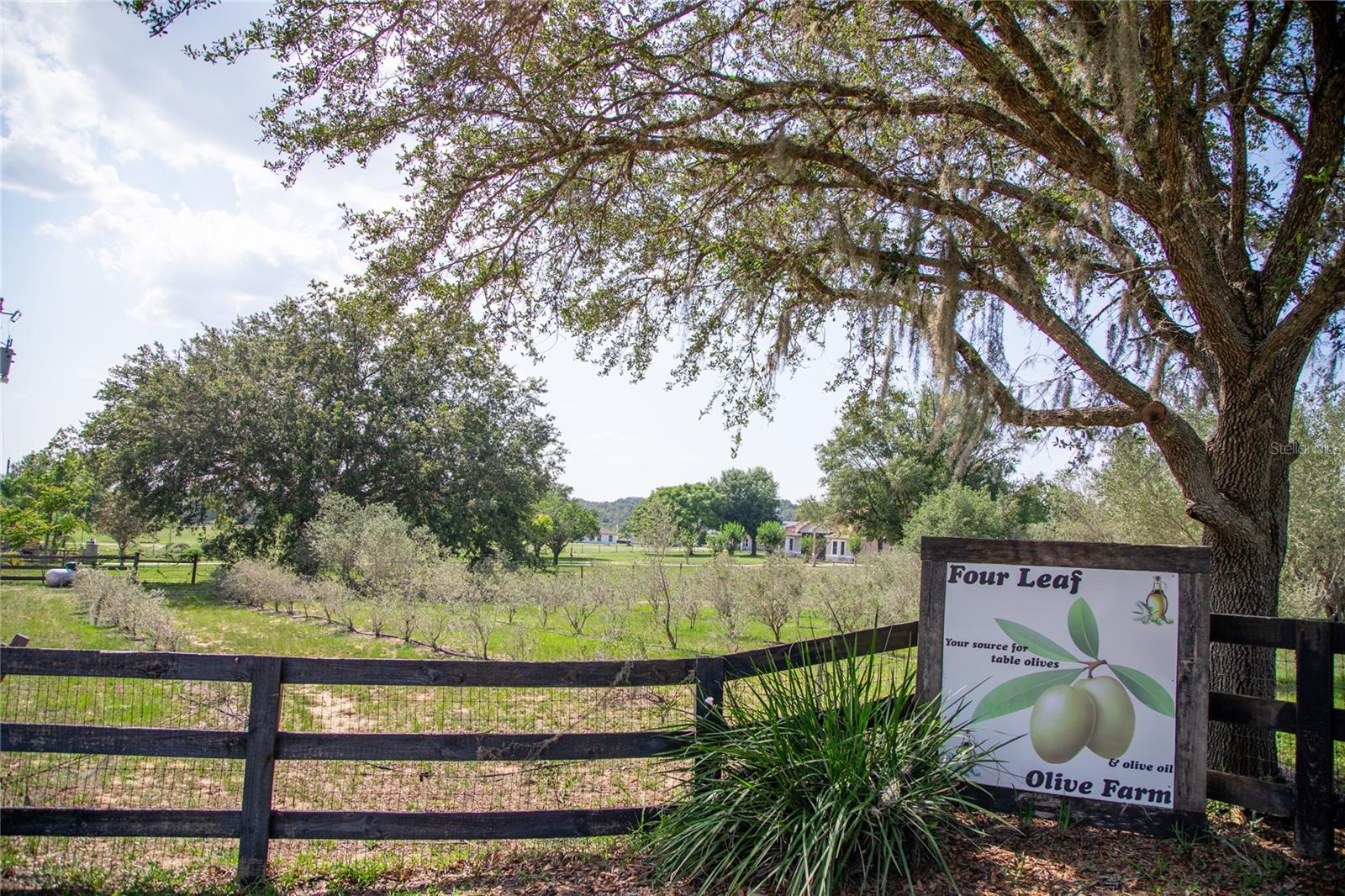 SUGARLOAF VIEW ESTATES - Residential