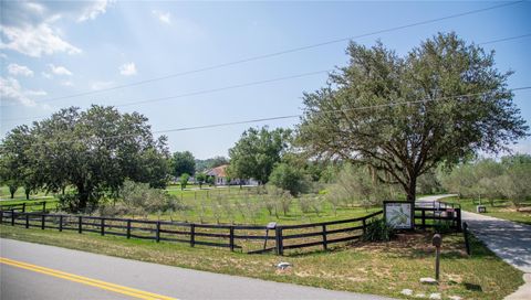Tiny photo for 20130 Sugarloaf Mountain Road, Clermont, FL 34715 (MLS # O6339575)