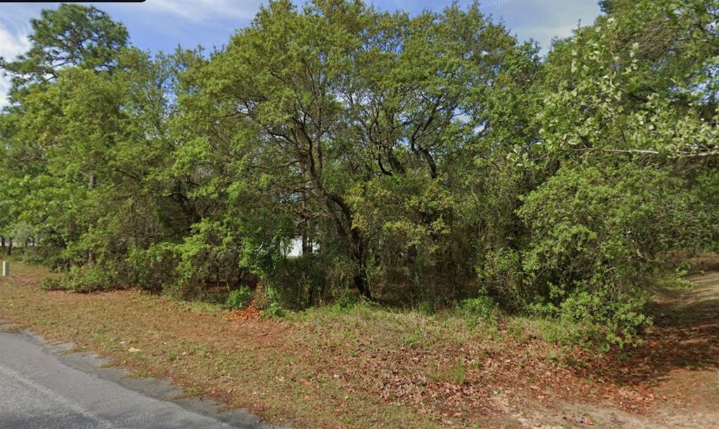 Photo of 4 Honeysuckle Court N, Homosassa, FL 34446 (MLS # O6363962)