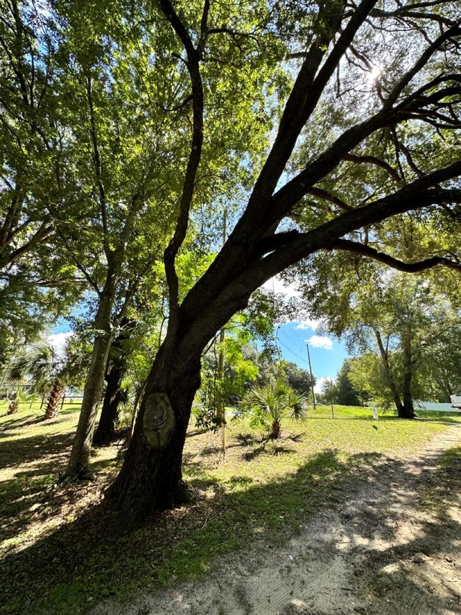 LAKE WEIR HEIGHTS - Land