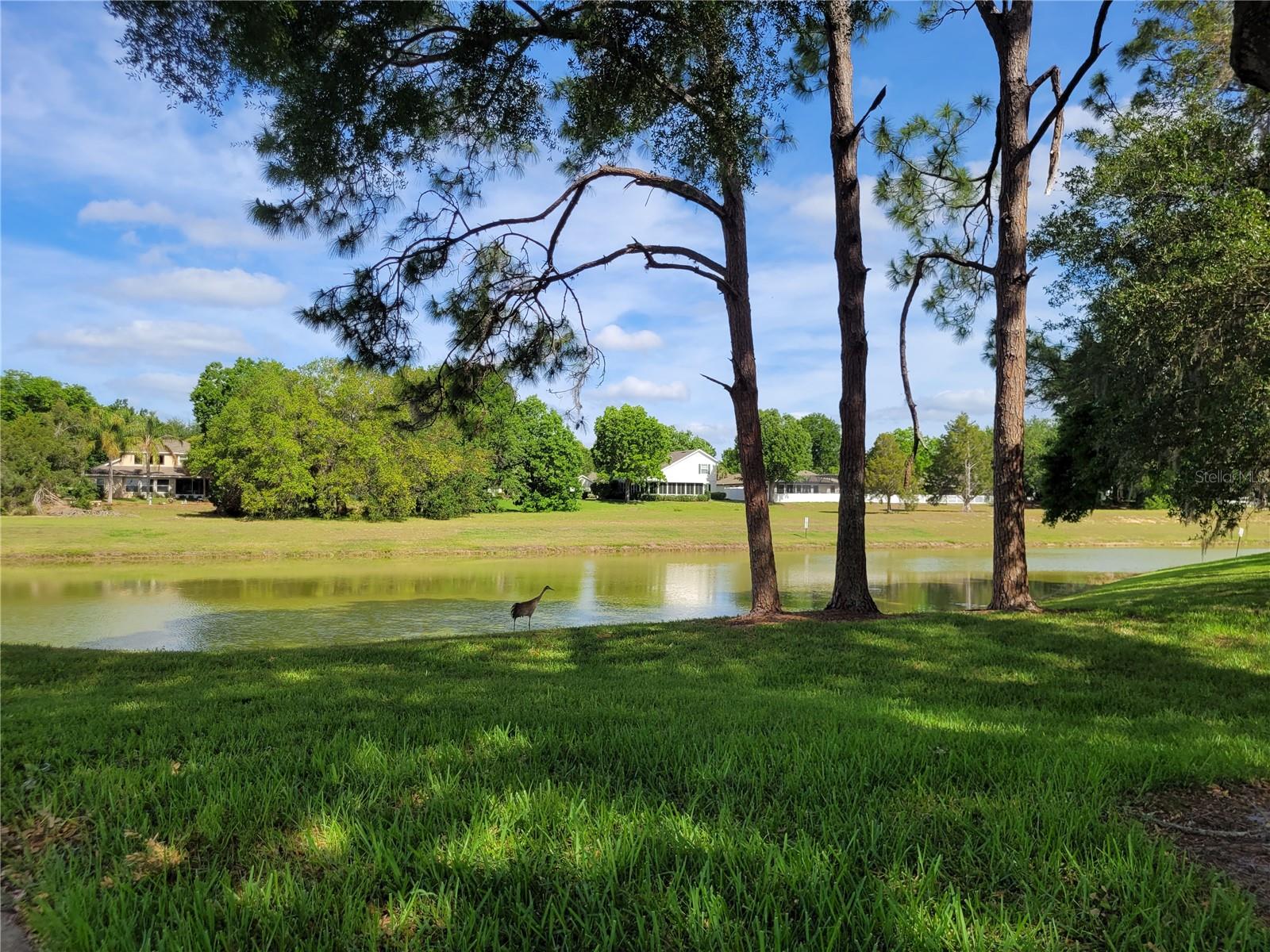 TAVARES BAYTREE PH II - Residential