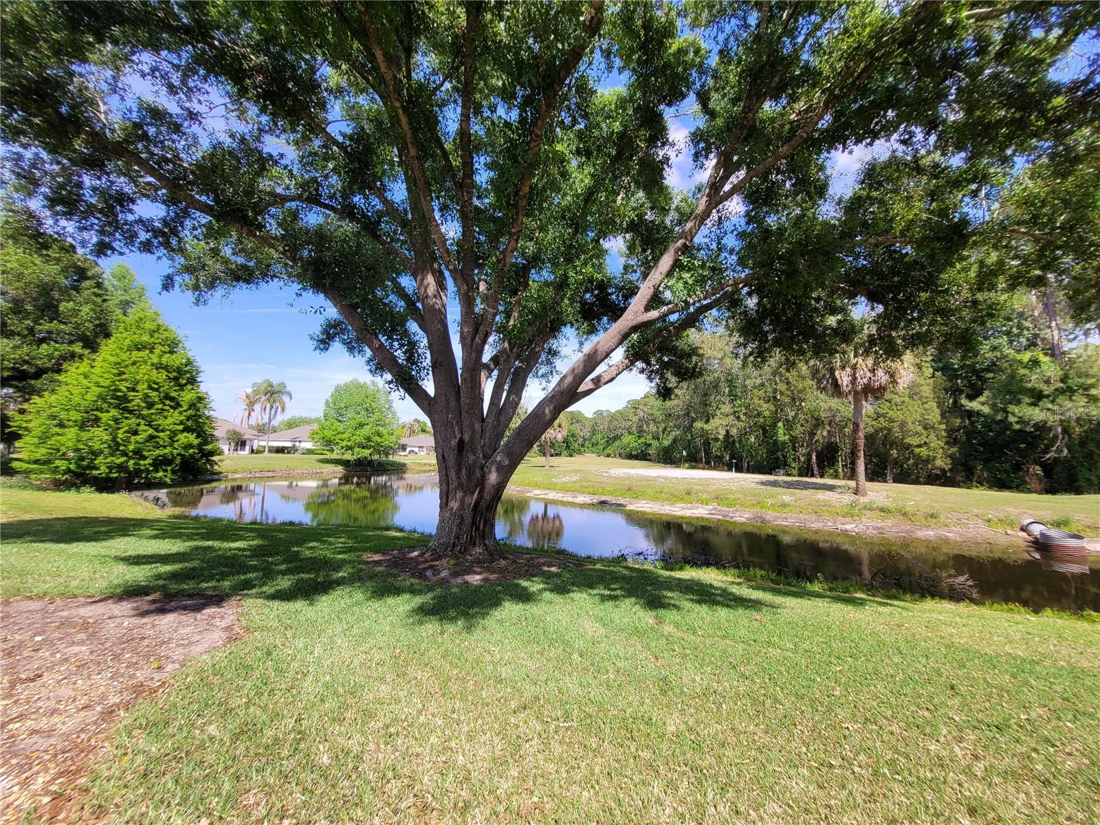 TAVARES BAYTREE PH II - Residential