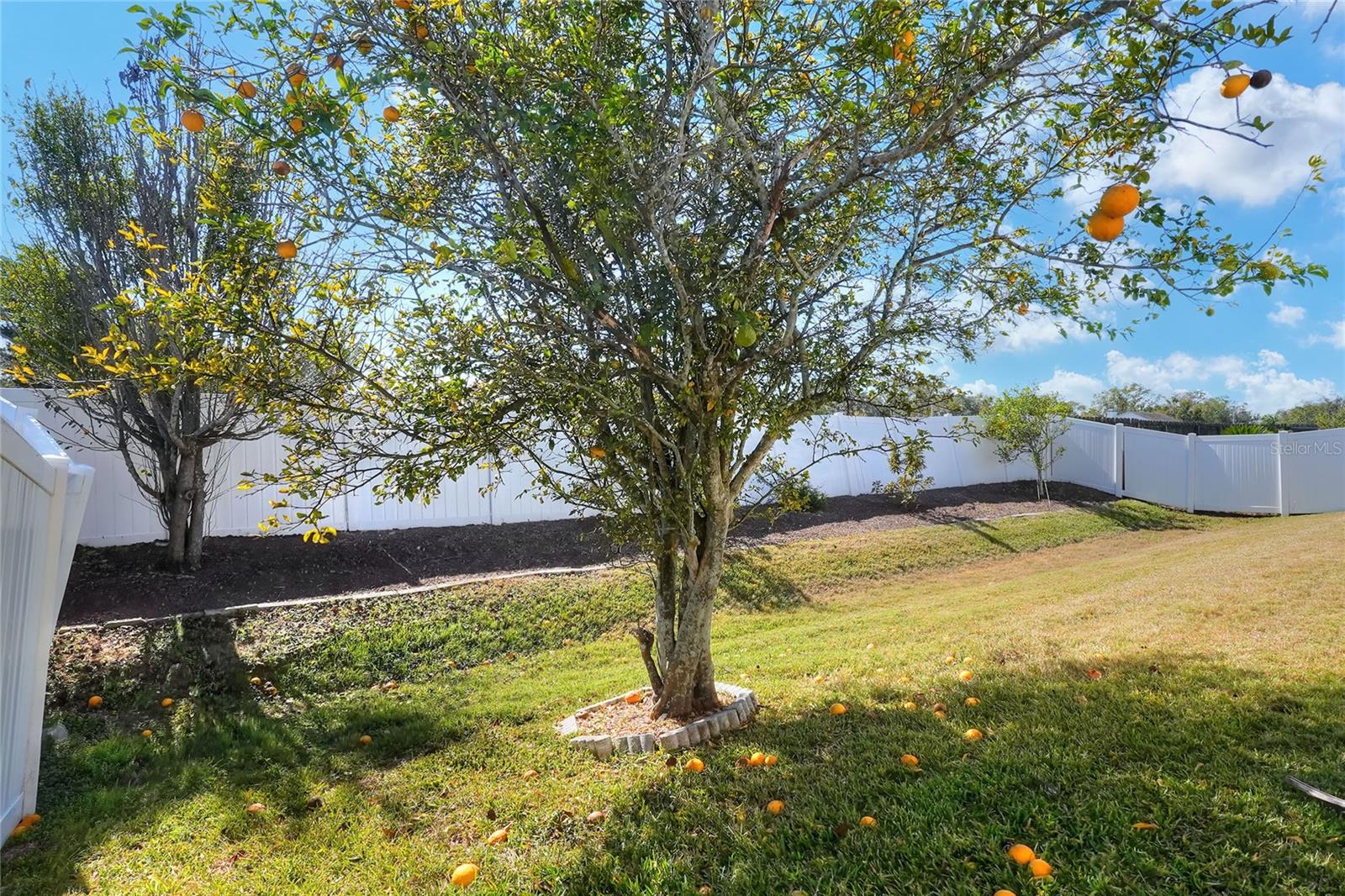 EMERALD COVE - Residential