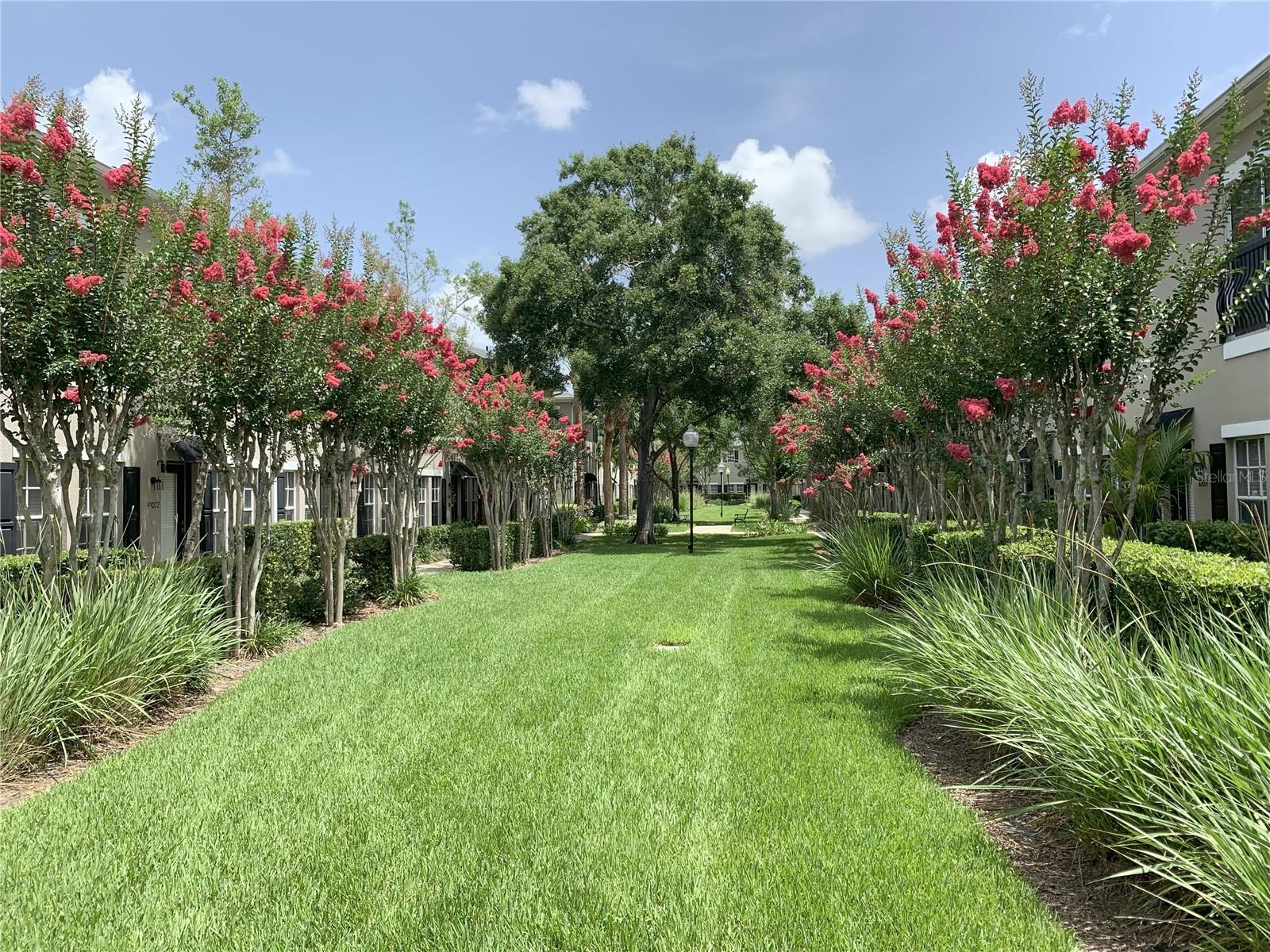 ON THE PARK TWNHMS - Residential