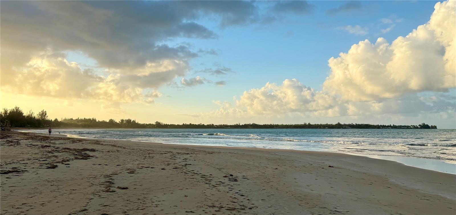 CASA DEL MAR II - Residential Lease