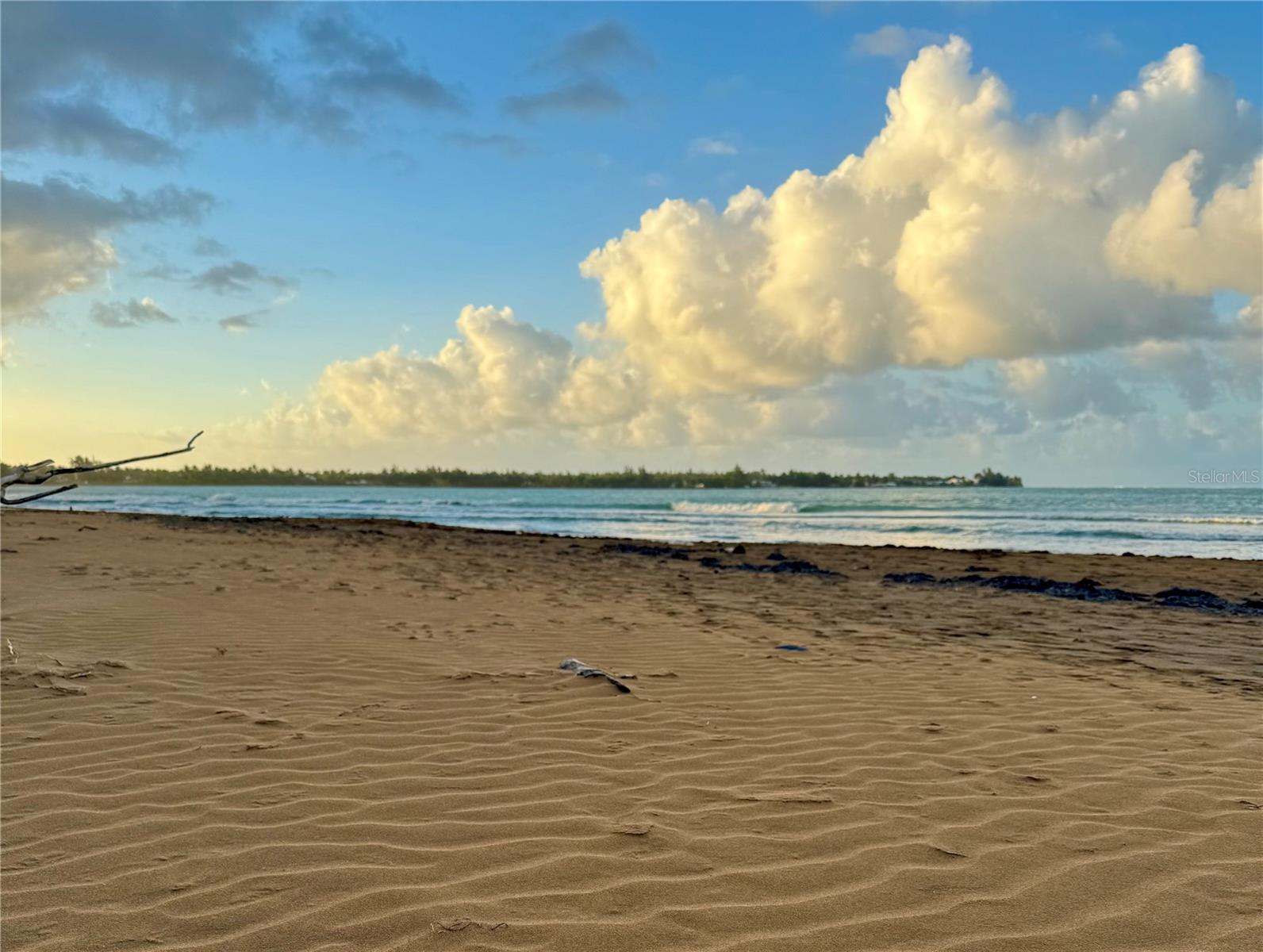 CASA DEL MAR II - Residential Lease