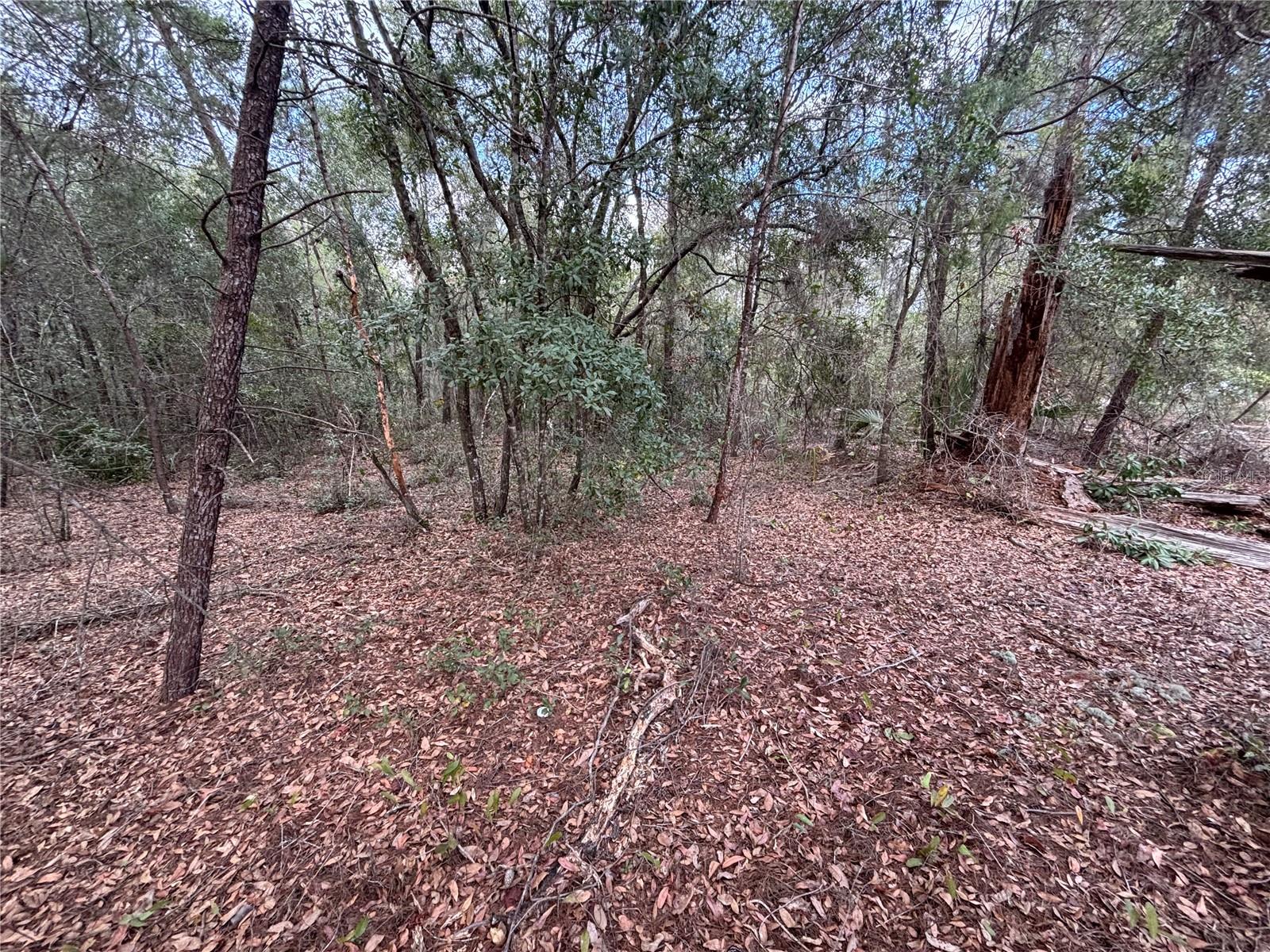 DAYTONA NORTH SUB - Land